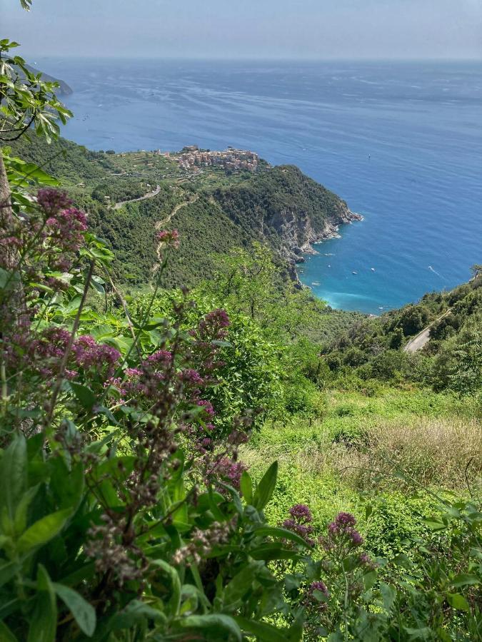 La Casa Rossa Arcola Con Vista Villa Екстериор снимка