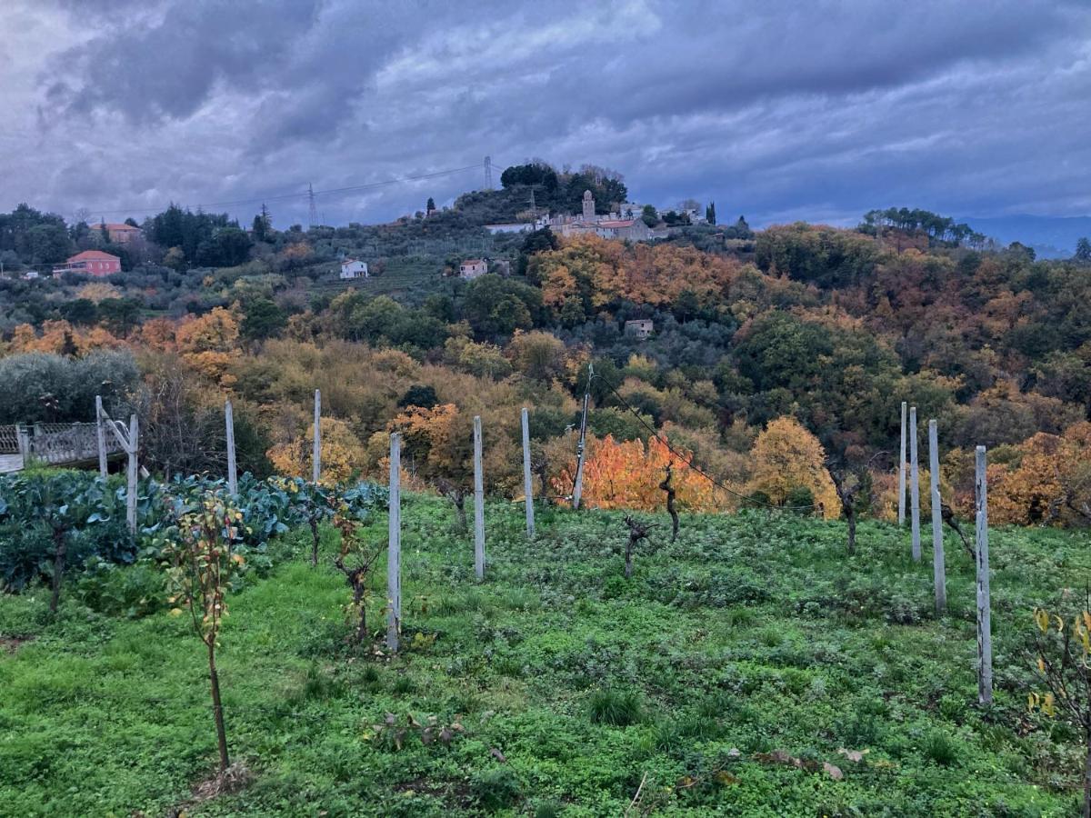 La Casa Rossa Arcola Con Vista Villa Екстериор снимка